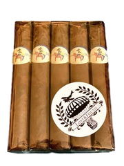Lost & Found "Swedish Delight" - 5 Pack