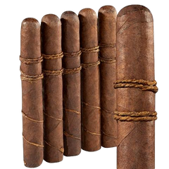 CAO Orellana - 5 Pack